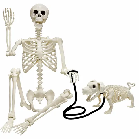 Halloween Human Skeleton Plastic Movable Joints Skull Bone Model Dog Skeleton Haunted House Secret Room Scary Prank Props Party Ornament