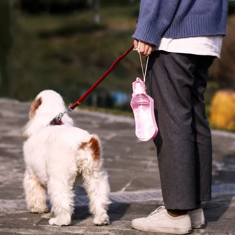 Portable Dog Water Bottle Outdoor Pet Travel Drinking Water Dispenser Puppy Cat Water Feeder Leak-Proof Pet Supplies