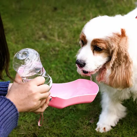 Portable Dog Water Bottle Outdoor Pet Travel Drinking Water Dispenser Puppy Cat Water Feeder Leak-Proof Pet Supplies