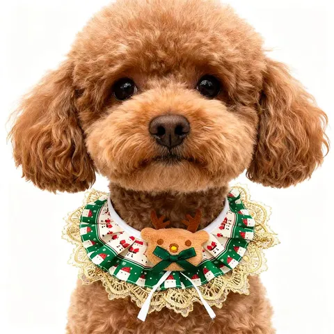 Cute Christmas Pet Bib Lace Trim Cat Collar Festive Holiday Party Costume Apparel Pet Accessories