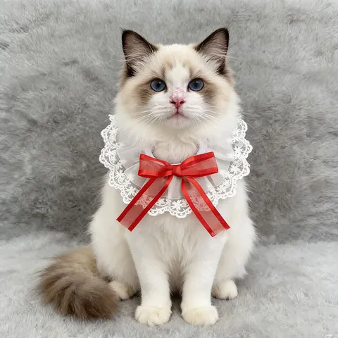 Cute Lace Pet Collar With Bowknot Decorative Neck Circle Polyester Bib For Cat And Dog Daily Accessories