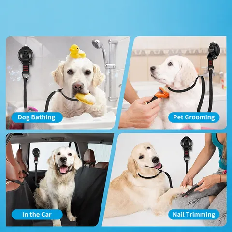 Pet Bathing Fixed Anchor Suction Cup Dog Leash Grooming Restraint Tool Rubber Nylon Pet Supply for Cat Dog Bath Shower