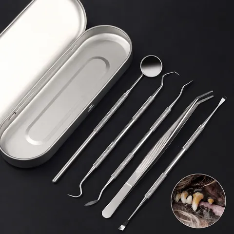 Outil de Retrait de Tartre Dentaire pour Animaux Kit de Nettoyage des Dents en Acier Inoxydable Outil de Soin Bucco-Dentaire pour Chien et Chat