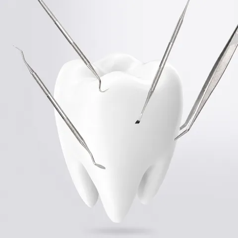 Outil de Retrait de Tartre Dentaire pour Animaux Kit de Nettoyage des Dents en Acier Inoxydable Outil de Soin Bucco-Dentaire pour Chien et Chat