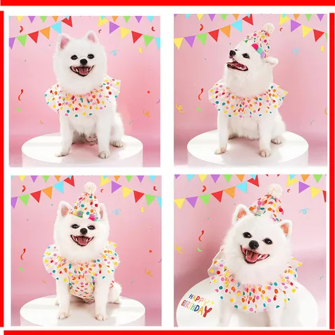 Joli Set de Chapeau d'Anniversaire avec Bavoir à Pois pour Animaux de Compagnie Écharpe de Chat Colorée Accessoires de Costume de Fête pour Chien
