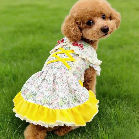 Mignonne Robe Lolita pour Animal de Compagnie Imprimé Ours Fraise Vêtements de Chien Princesse Doux Volants en Maille Jupe pour Chiot