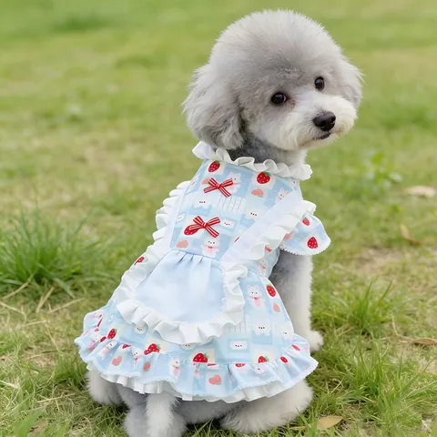 Mignonne Robe Lolita pour Animal de Compagnie Imprimé Ours Fraise Vêtements de Chien Princesse Doux Volants en Maille Jupe pour Chiot