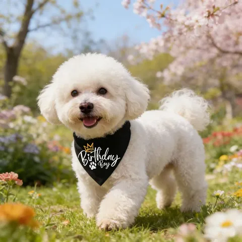 Bandana Collier d'Anniversaire pour Animal de Compagnie Réglable Chien Chat Écharpe bavoir Avec Impression de Lettres de Couronne Polyester Accessoires de Fête