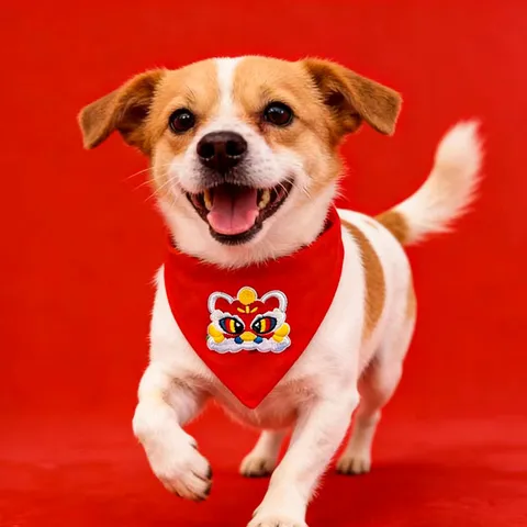 Bavaglino Carino per Animali Domestici Collare a Triangolo Rosso Con Ricamo di Leone per Cani Piccoli e Gatti Festa di Capodanno