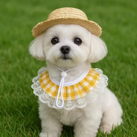 Ensemble Chapeau de Paille et Bavoir en Dentelle à Carreaux pour Animal de Compagnie Chien Chat Casquette de Protection Solaire