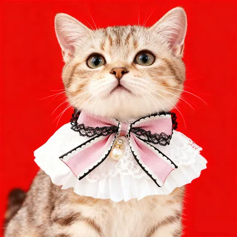 French Lace Pet Bib Collar Cotton Dog Scarf Cat Bib Cute Bow Pearl Pendant Pet Accessories For Small Dogs Cats