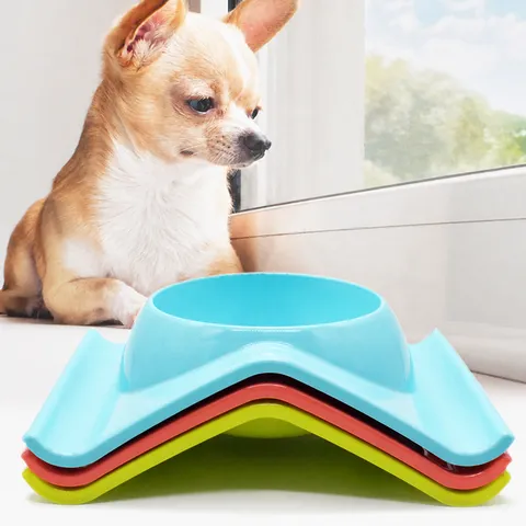 Gamelle pour Chien en Acier Inoxydable pour Aliments Antidérapante pour Chiot Petits Chiens Articles d'Alimentation