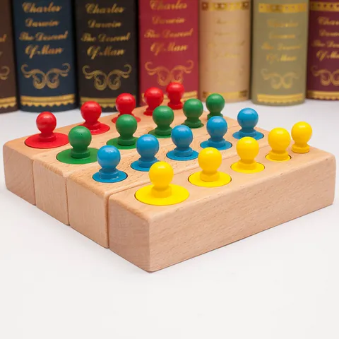 Montessori Wooden Cylinder Socket Blocks Early Educational Toy Montessori Color Sorting Sensory Learning Toy For Toddlers