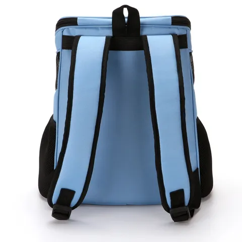 Portable Breathable Pet Backpack For Cats And Small Dogs Travel Puppy Carrier Bag Mesh Outdoor Pet Supplies