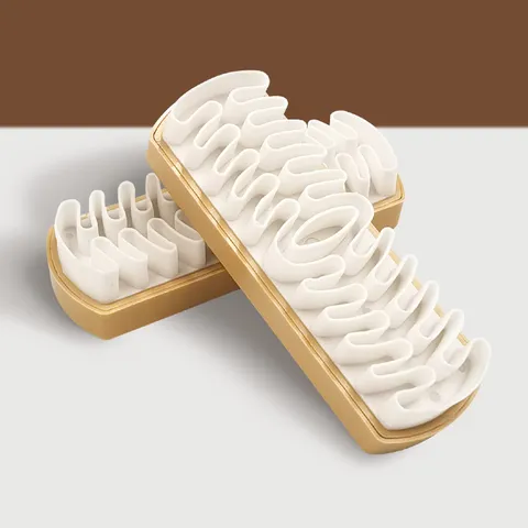 Spazzola per Scarpe in Scamosciato Spazzola di Pulizia Gomma Morbida per Stivali in Pelle Nabuk Cura delle Scarpe