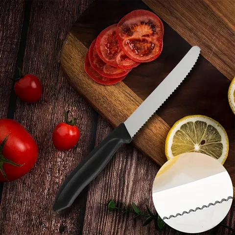 Stainless Steel Steak Knife Fruit Knife Kitchen Dinner Knife with Plastic Handle Serrated Blade Tableware Cutlery