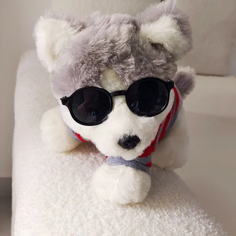 Retro Runde Haustierbrille Mode Sonnenbrille Klare Linse Brillen Foto Requisiten Für Kleine Mittlere Hunde Katzen Cool Zubehör