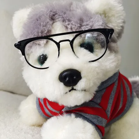 Lunettes à Double Pont en Métal Pour Poupée en Coton Animaux de Compagnie Accessoires Photo Lunettes Décoratives Chat Chien