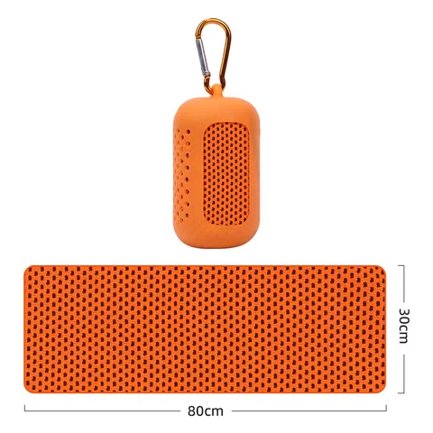 Asciugamano Sportivo Raffreddante Portatile Con Custodia In Silicone Microfibra Traspirante Asciugamani Da Palestra Yoga Fitness