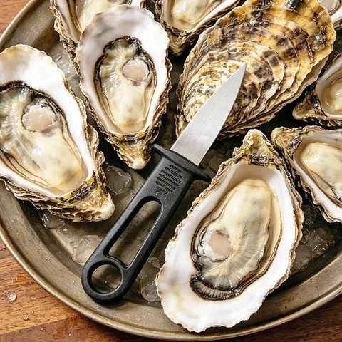 Stainless Steel Oyster Shucking Knife Professional Seafood Opening Tool With Ergonomic Non Slip Plastic Handle