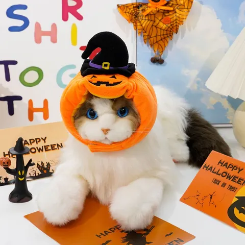 Pet Halloween Pumpkin Hat Cute Plush Wizard Cap Costume For Cats And Small Dogs Festival Party Pet Apparel Accessories