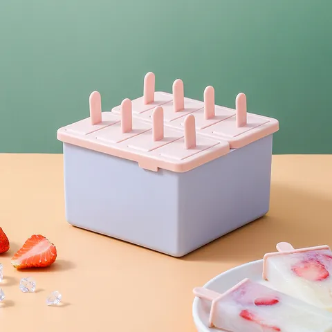 Fabricante de Paletas de Plástico para el Hogar Molde de Helado Con Tapa