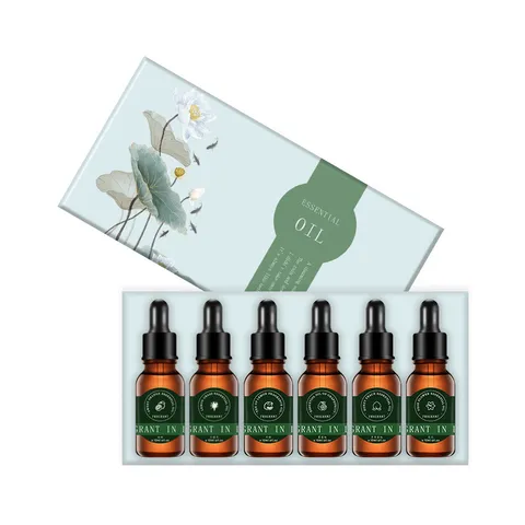 Plant Essential Oil Set Water Soluble Aromatherapy Fragrance Oils For Humidifier Diffuser Home Air Freshener Gift Box