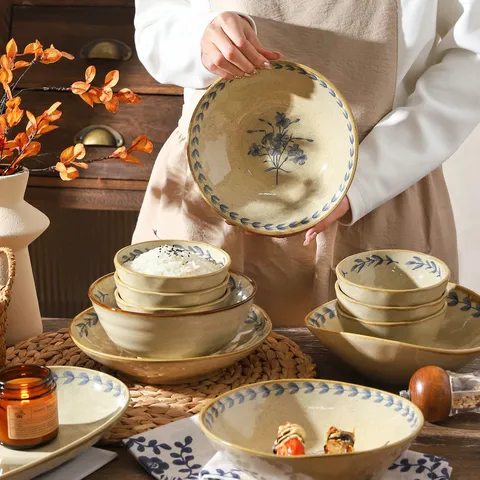 Ensemble de Vaisselle en Céramique Rétro Japonaise Bol et Assiette Boîte Cadeau