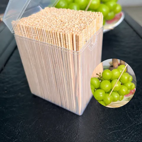 Disposable Bamboo Fruit Picks Toothpicks Long Cocktail Skewers With Storage Box For Bar Party Kitchen Dining Tableware