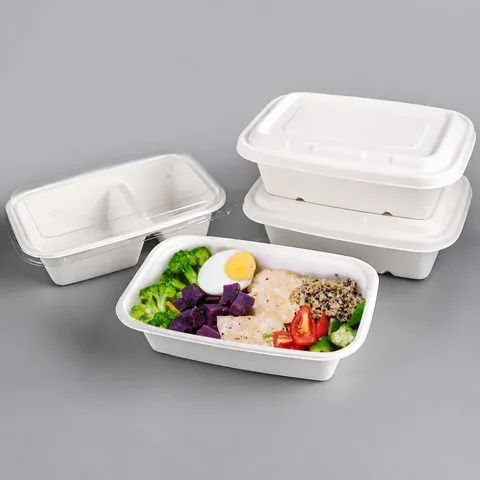 Caja de Comida Desechable Ecológica de Bagazo de Caña de Azúcar Contenedor Rectangular con Tapa Suministros para Restaurantes