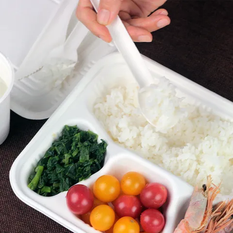 Vajilla Desechable de Pulpa de Caña de Azúcar Cuchillo Tenedor y Cuchara Juego Ecológico Biodegradable para Fiesta BBQ