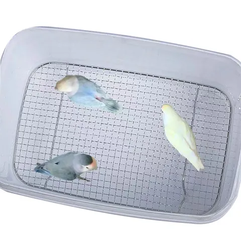 Stainless Steel Bird Cage Mesh Wire Grid Brooding Stand Pet Bird Breeding Cage Accessories For Parrots