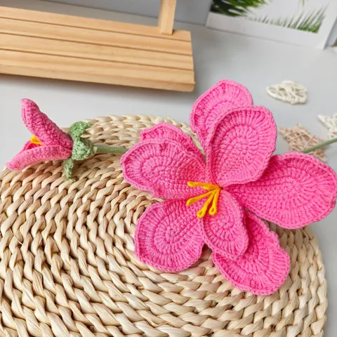 Handmade Crochet Bellflower Bouquet Knitted Artificial Flower Home Decor Gift For Friends And Family