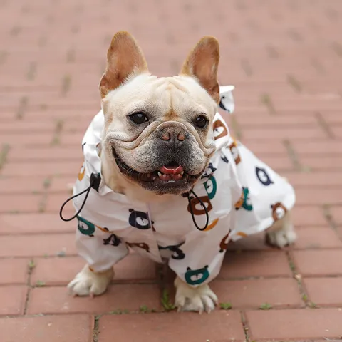 Imperméable pour Chien Imperméable Mignon Imprimé Animal Dessin Animé Vêtements pour Animaux de Compagnie avec Capuche pour Petits Chiens Chiot Veste de Pluie