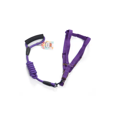 Nylon Haustier Hundeleine Und Geschirr Set Verstellbare Trainingsleine Mit Schaumstoffgriff Für Kleine Hunde Spazieren Haustierbedarf