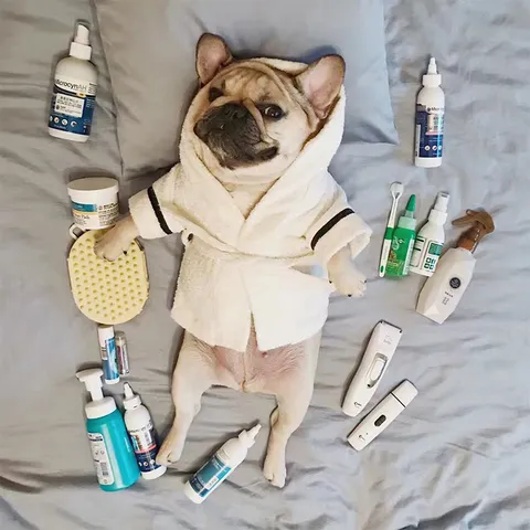 Hund Bademantel Handtuch Absorbierend Weich Haustier Schlafbekleidung Kapuze Bademantel Für Kleine Hunde Französische Bulldogge Mops Haustier Reinigungszubehör