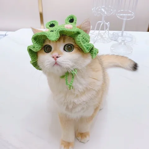 Handmade Knitted Woolen Pet Hat Cute Lace Cat Hat Small Dog Headwear Princess Style Pet Costume