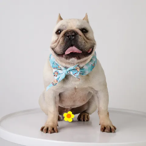 Cartoon Haustier Kühlung Eisseide Schal Hund Sommer Lätzchen Hitzschlagprävention Atmungsaktive Halstuch Für Französische Bulldogge Corgi Kleine Hunde