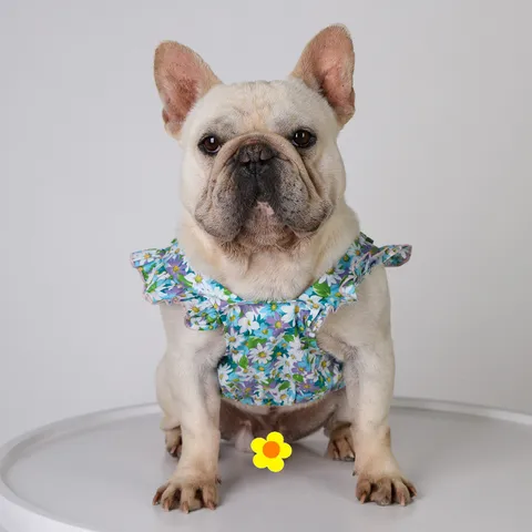 Sommer Blumen Haustier Hund Kleid Süße Welpen Prinzessin Rock Atmungsaktive Baumwolle Blasenärmel Rüsche Bekleidung Für Kleine Hunde Katzen