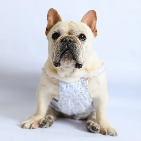 Kleines Hund Sommer Kleid Baumwolle Atmungsaktiv Blumenmuster Prinzessin Rock Rüschen Träger Haustier Kleidung Für Welpen Kätzchen