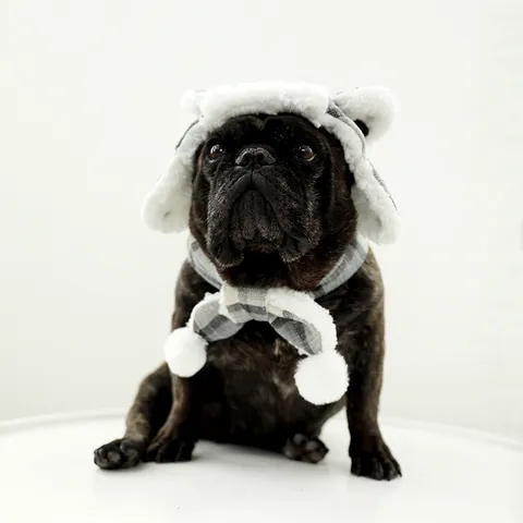 Cane Inverno Cappello e Sciarpa Set Caldo Pile Quadri Animale Domestico Beanie Berretto Antivento Carino Cucciolo Abbigliamento Accessori