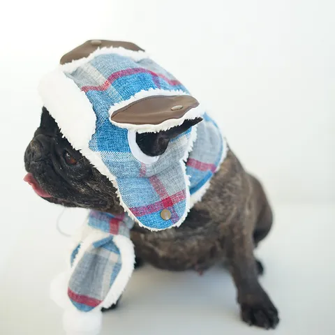 Cane Inverno Cappello e Sciarpa Set Caldo Pile Quadri Animale Domestico Beanie Berretto Antivento Carino Cucciolo Abbigliamento Accessori