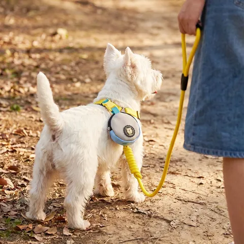 Portable Pet Waste Bag Dispenser Nylon Dog Poop Bag Holder With Trash Bags Hook For Outdoor Walking Pet Supplies