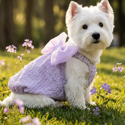 Carino Vestito Cane Animale Domestico Primavera Estate Cucciolo Gonna A Bolle Con Grande Fiocco Rete Principessa Piccoli Cani