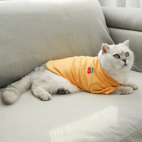 Haustier Hund Kleidung Polo-Kragen Frühling Herbst Basis Shirt Süß Bestickt Haustier Bekleidung Für Kleine Hunde Und Katzen