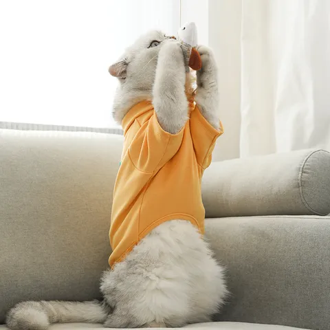 Haustier Hund Kleidung Polo-Kragen Frühling Herbst Basis Shirt Süß Bestickt Haustier Bekleidung Für Kleine Hunde Und Katzen