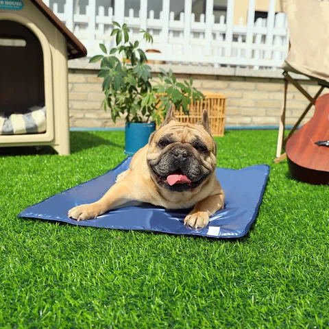 Wasserdichte Haustier Outdoor Matte Faltbare Kühlende Thermische Hunde Bett Matte Tragbare Reise Picknick Matte Für Hunde Katzen Haustierbedarf