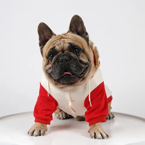 Hunde Winter Hoodie Süße Rüsche Kapuzenpullover Warme Weiche Kleidung Für Kleine Hunde Französische Bulldogge Rosa Rot