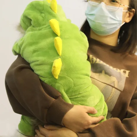 Pet Dinosaur Pajamas Flannel Warm Four-Legged Jumpsuit Cute Hooded Coat For Cats And Dogs Autumn Winter Apparel