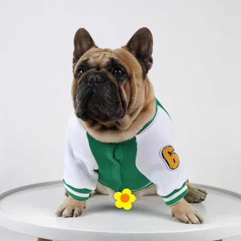 Süßer Haustier Hund Fleece Warmer Winter Hoodie Baseball Jacke Welpe Kleidung für Kleine Mittlere Hunde